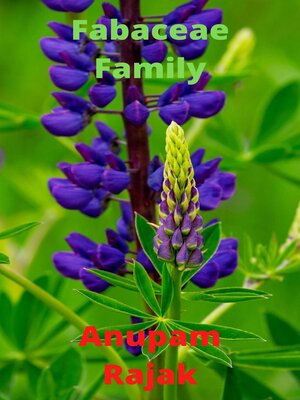 cover image of Fabaceae Family